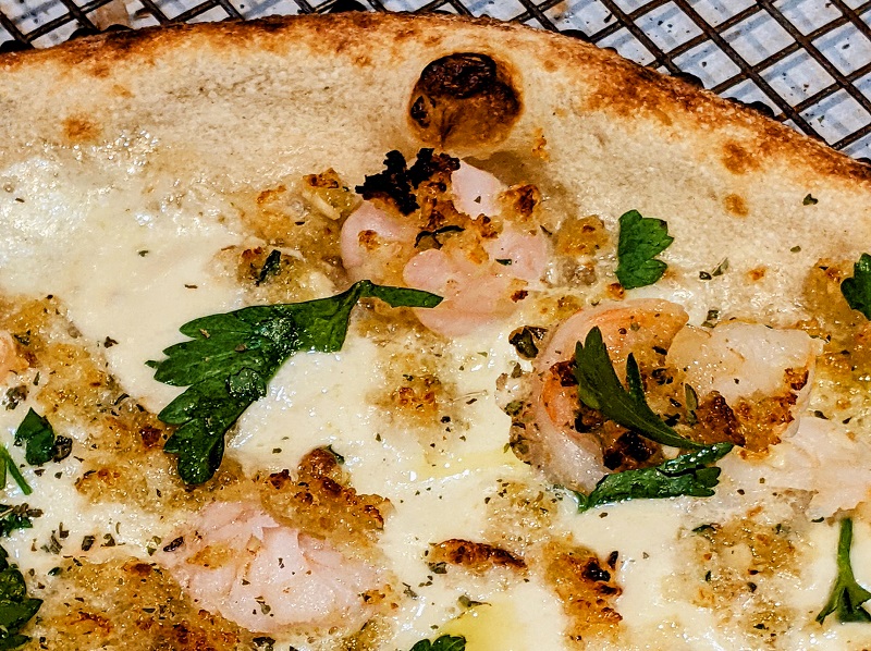 Shrimp Oregnata